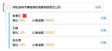 呼和浩特市博瑞煤炭銷售有限責(zé)任公司